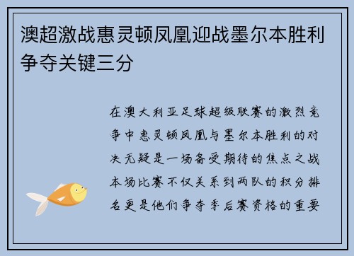 澳超激战惠灵顿凤凰迎战墨尔本胜利争夺关键三分