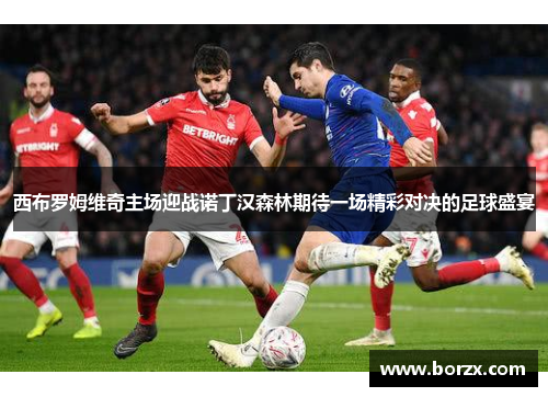 西布罗姆维奇主场迎战诺丁汉森林期待一场精彩对决的足球盛宴