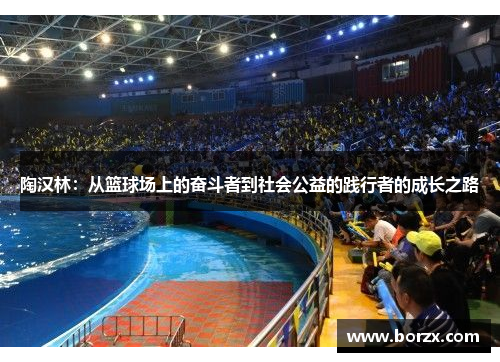 陶汉林：从篮球场上的奋斗者到社会公益的践行者的成长之路